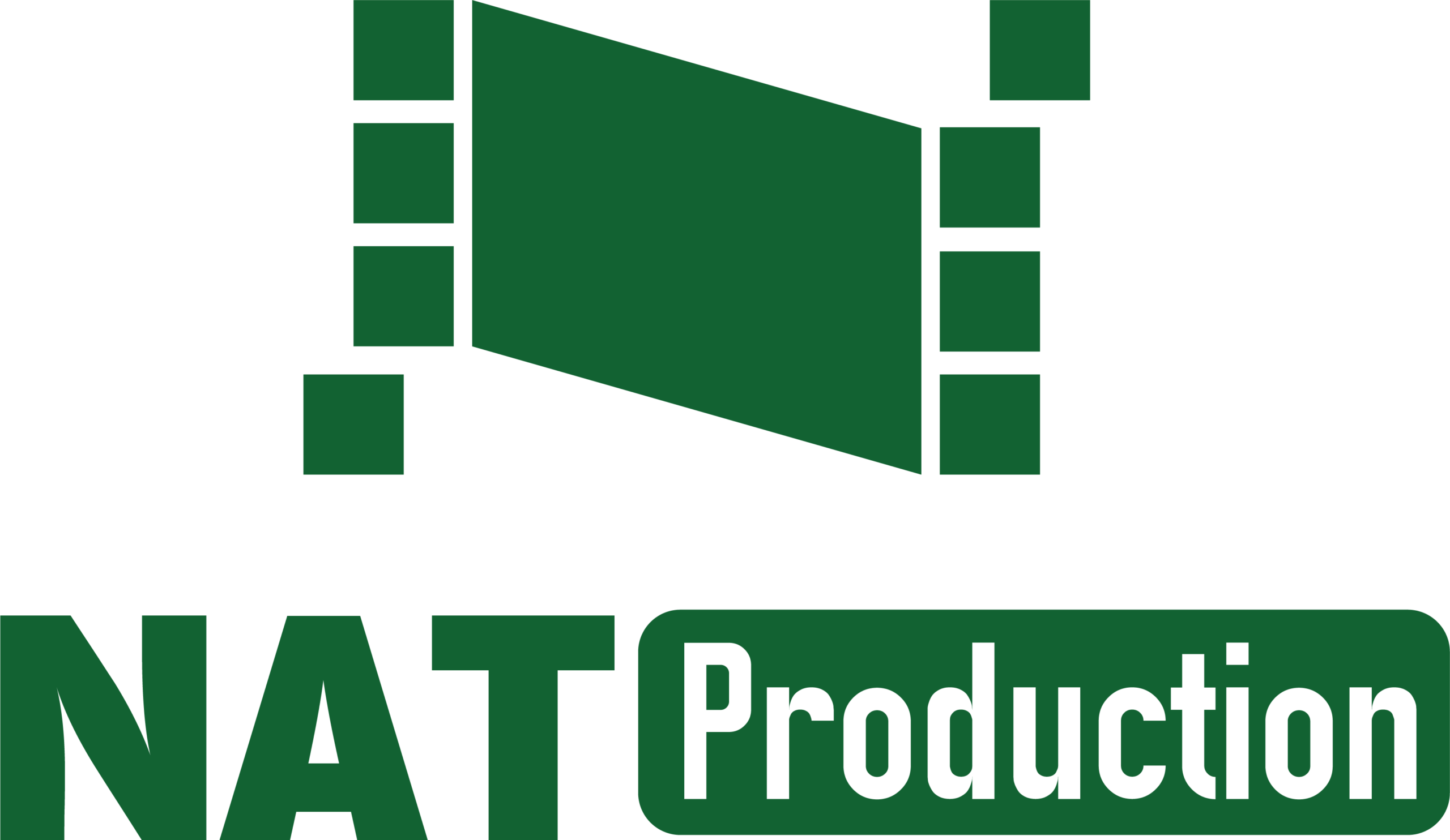 1529895193_logo_nat_production